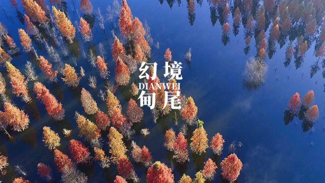 探索知识星球平台长沙一女子无故遭公司开除后获赔122斤硬币,怎样看待这样的企业?,精选共享优质知识资源