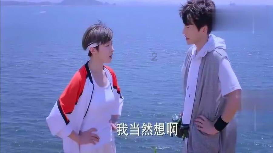 小猫钓鱼正版下载中文版
